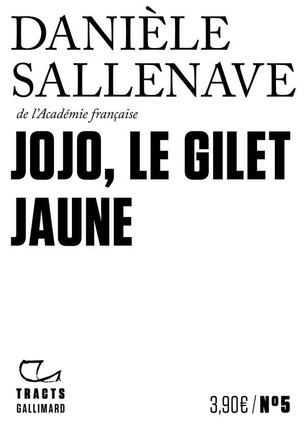 Danièle Sallenave, Jojo, le gilet jaune