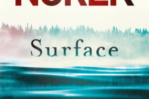 Olivier Norek, Surface