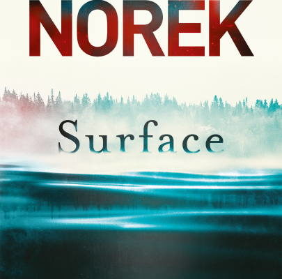 Olivier Norek, Surface