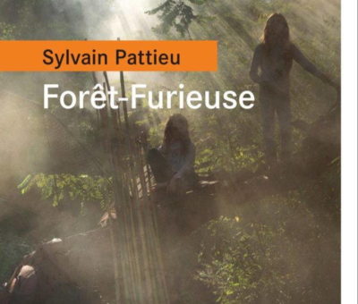 Sylvain Pattieu, Forêt-Furieuse