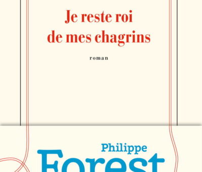 Philippe Forest, Je reste roi de mes chagrins